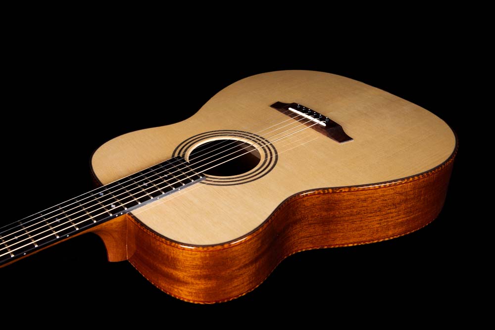 Martin Simpson Guitar-LC0A2979